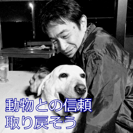 動物との信頼を取り戻そう　おなかを見せる犬　ぺろぺろしてくるラマ　何故か？寄ってくる象　田舎のリアル亀救出