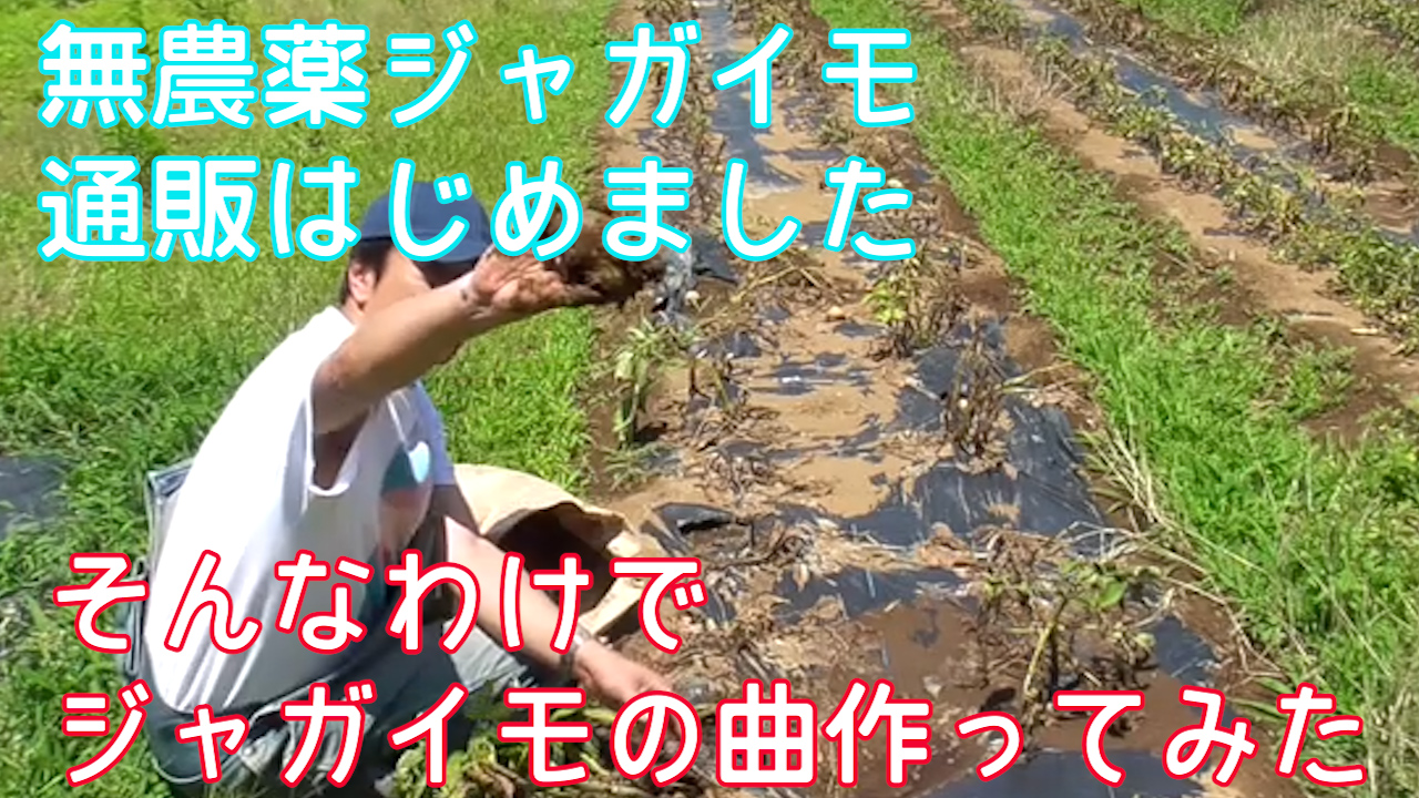 無農薬のジャガイモの歌　#無農薬ジャガイモ　通販開始ということでまずは　ジャガイモの曲から作ってみました
