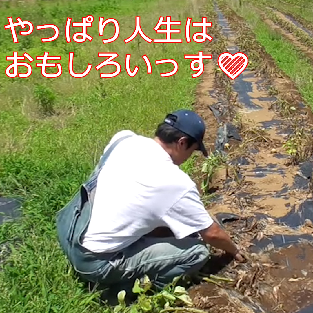 ジャガイモの曲作る、最重要ミッション、 #ナオライオン ジャガイモ売りたいなら曲を作れとのご意見多数、ためしにやってみた最初のバージョン商用時間2分くらい　