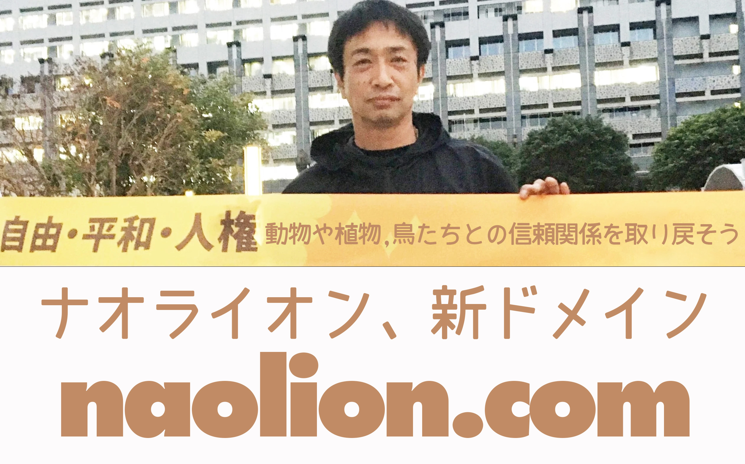 ナオライオンドットコムでドメイン取り直しました。